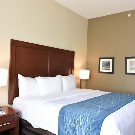 Comfort Inn & Suites Rock Hill Eksteriør billede